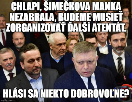 otázka do pléna